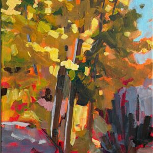 aspens lo res